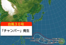 スクリーンショット 2026-10-15 165638_コピー